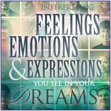 Feelings Emotions Expressions