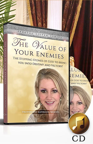 Value Your Enemies